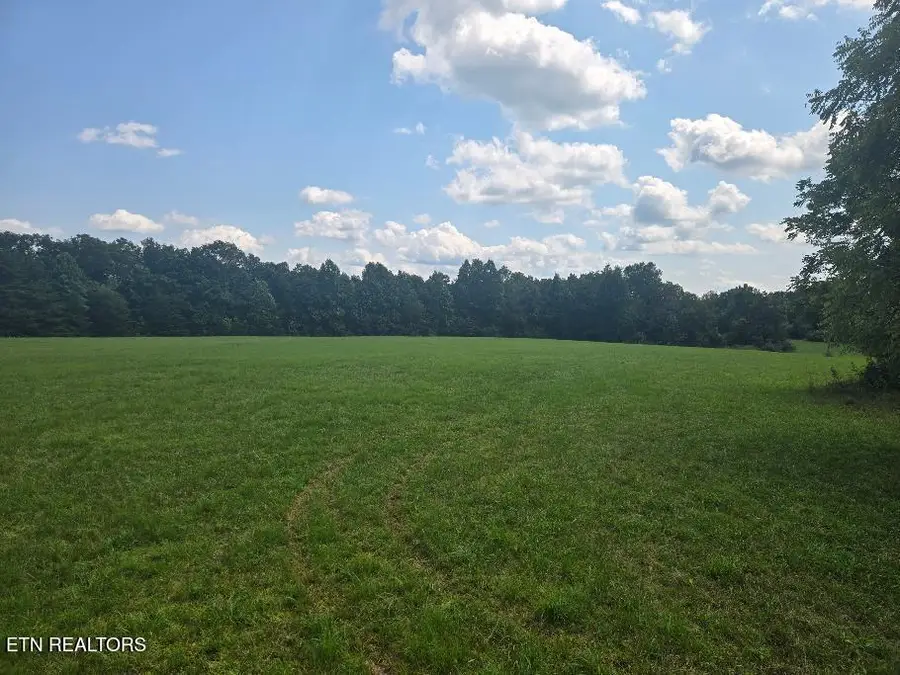 Al Martin Rd, Robbins, TN 37852 - #3