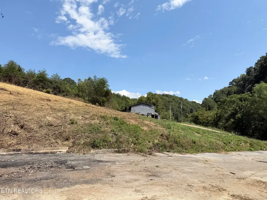 2534 Muddy Hollow Rd, Dandridge, TN 37725 - #2