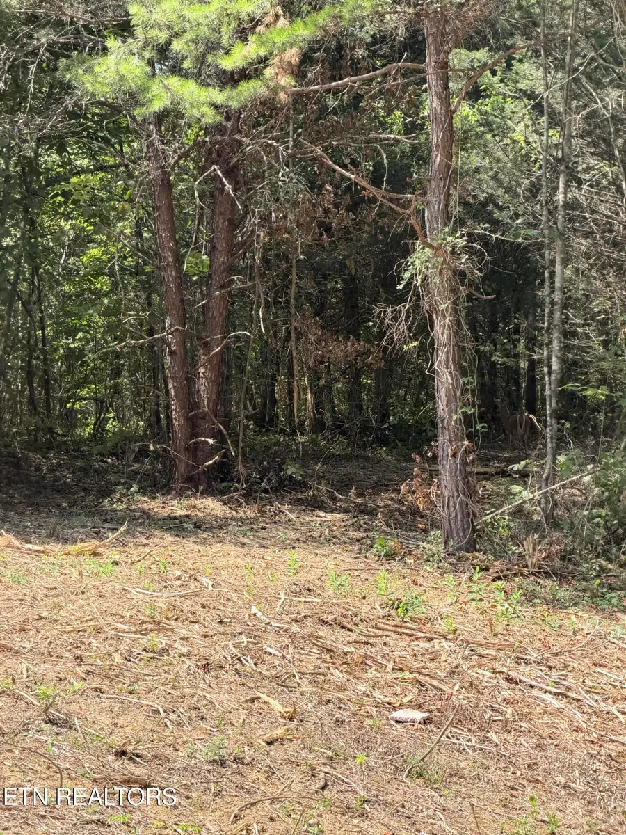2534 Muddy Hollow Rd, Dandridge, TN 37725 - #3