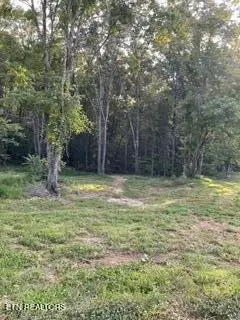 Wells Rd, Powell, TN 37849
