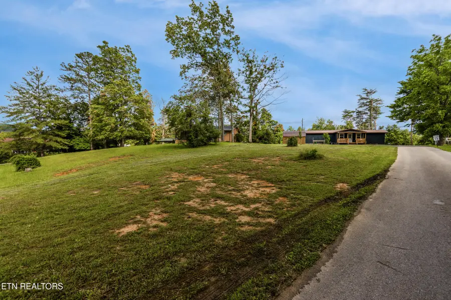 210 Conifer Rd, Winfield, TN 37892 - #2