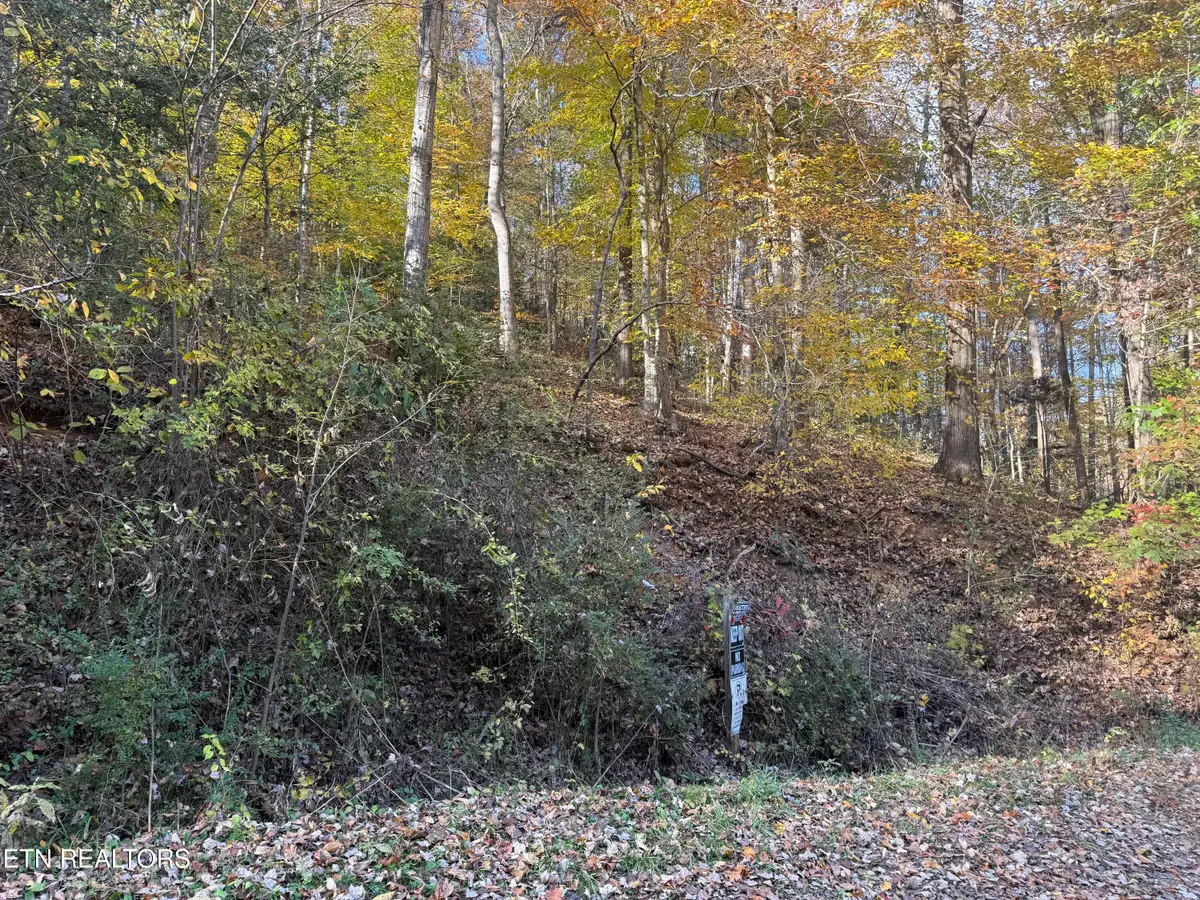 Trentham Way, Pigeon Forge, TN 37863 - #1