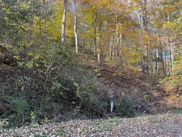 Trentham Way, Pigeon Forge, TN 37863