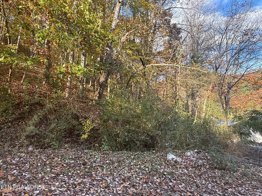 Trentham Way, Pigeon Forge, TN 37863 - #2