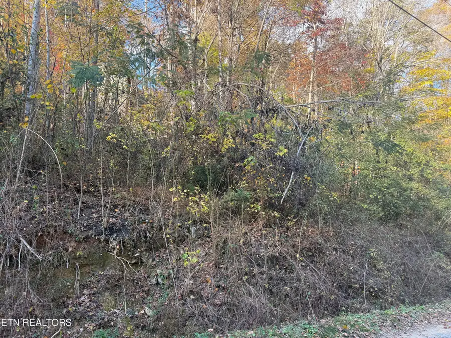 Trentham Way, Pigeon Forge, TN 37863 - #3