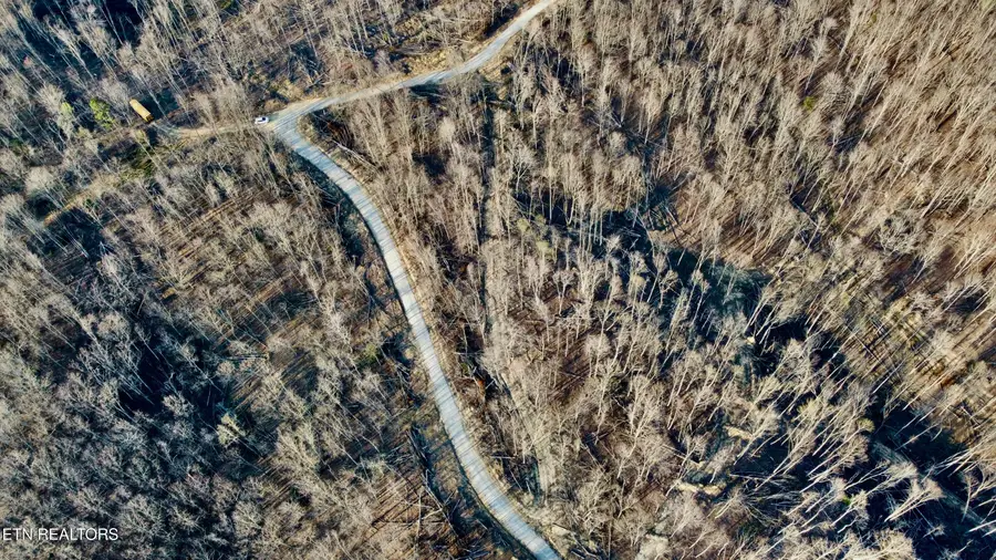 Lot#9 Mill Creek Rd #026 009.19, Sunbright, TN 37872 - #2
