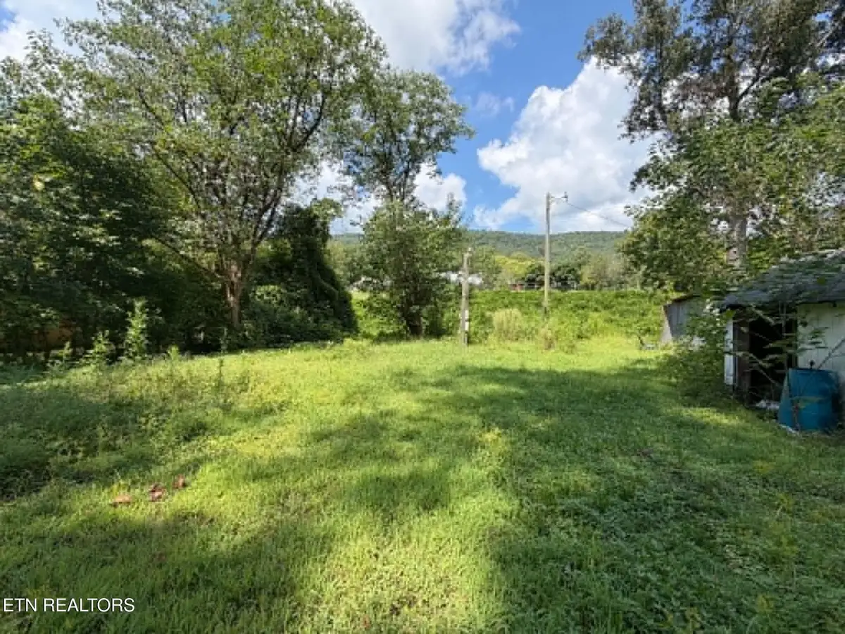 410 Ideal Valley Rd, Spring City, TN 37381 - #1