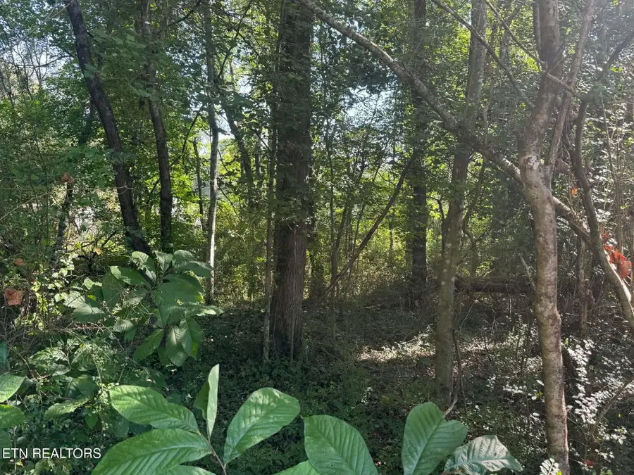 164 Jodys Lane, Rockwood, TN 37854 - #2