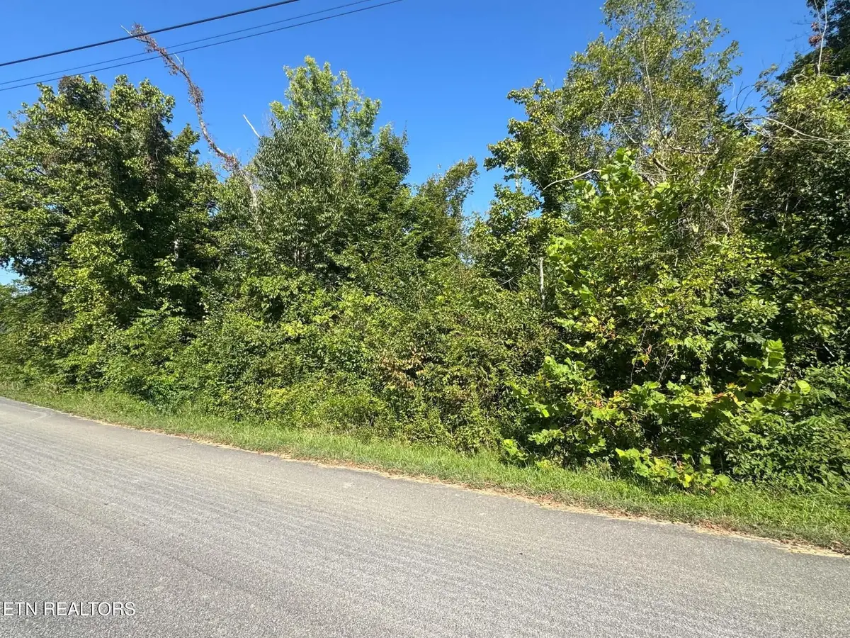 Balboa Drive, Rockwood, TN 37854 - #1