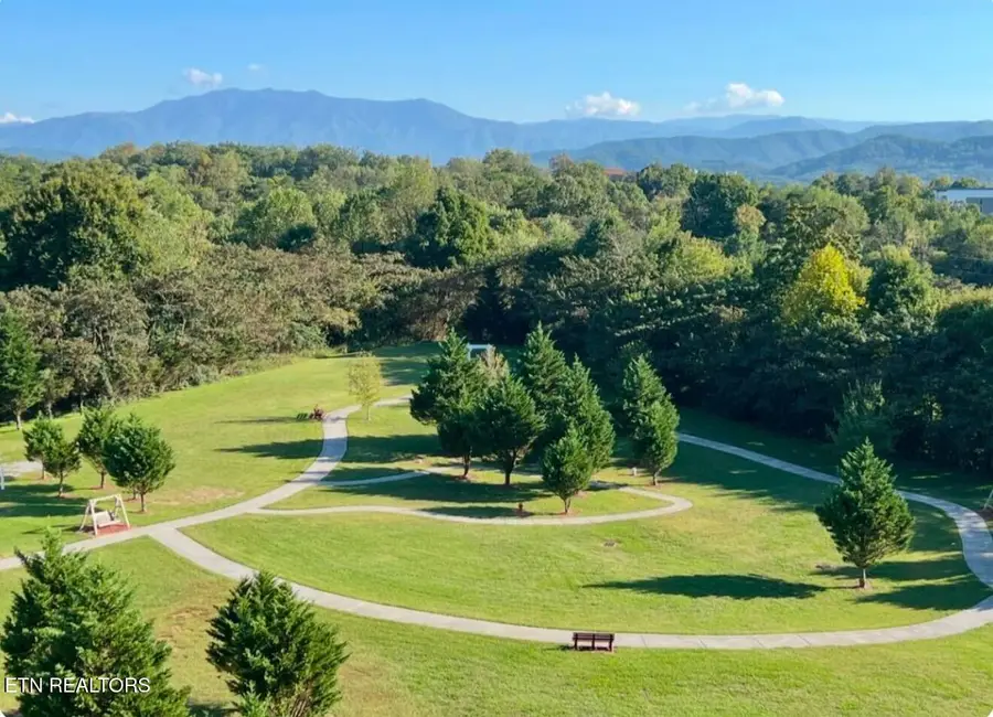 124 Plaza Drive #UNIT 3704, Pigeon Forge, TN 37863 - #2