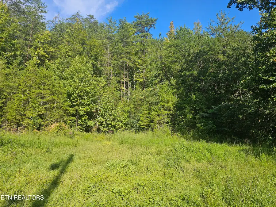 Lot 3 Franklin Way, Sevierville, TN 37876 - #2