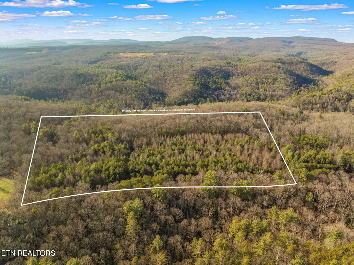 Grievers Chapel Rd, Rockwood, TN 37854 - #1