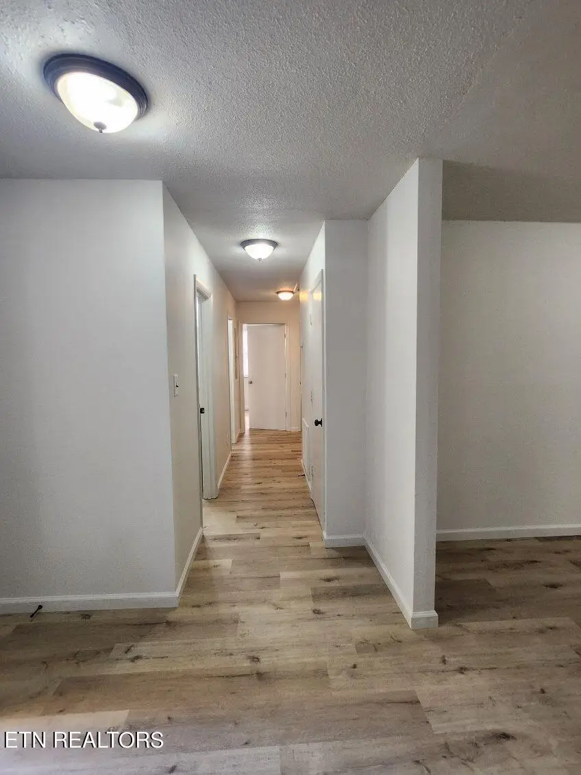 1617 Henrietta Ave Ave, Knoxville, TN 37915 - #2