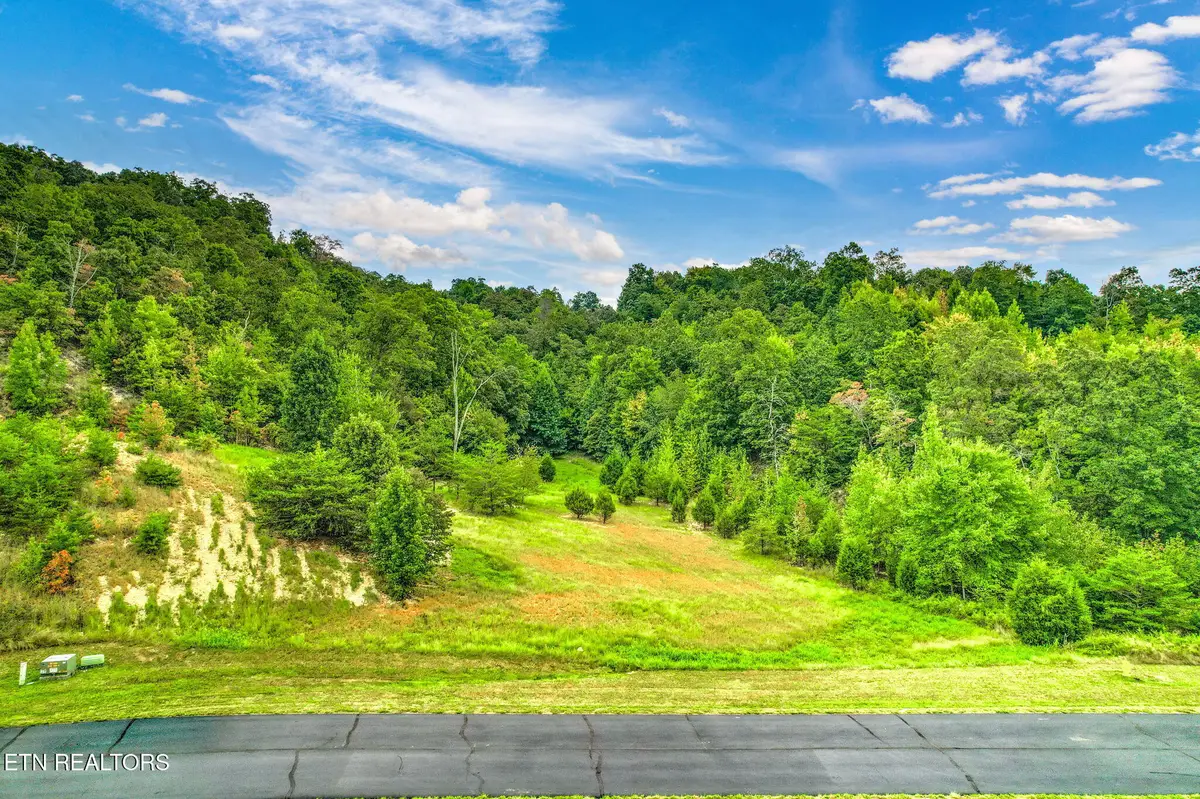Lot 398 W Mountain Drive, Rockwood, TN 37854 - #1
