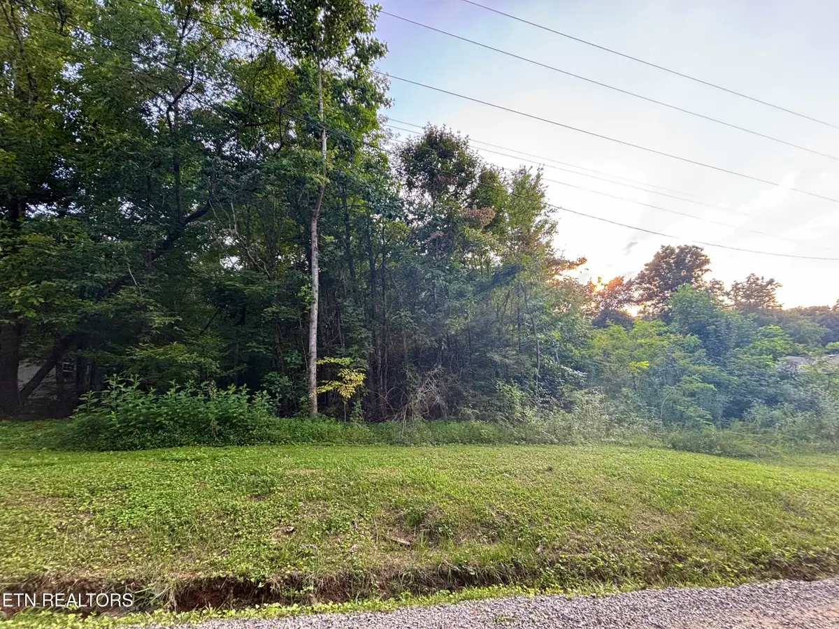 Wintergreen Lane, Cosby, TN 37722 - #1