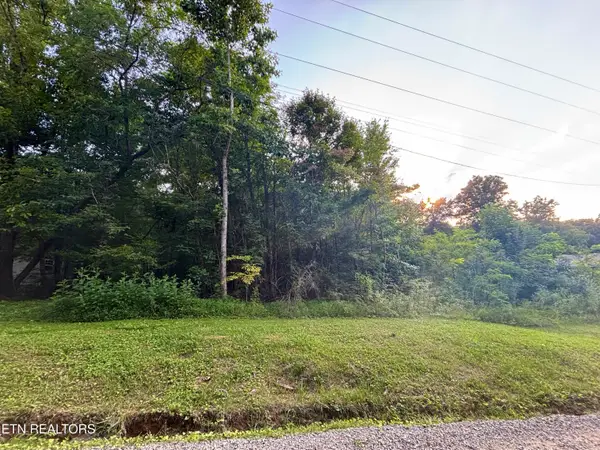 Wintergreen Lane, Cosby, TN 37722
