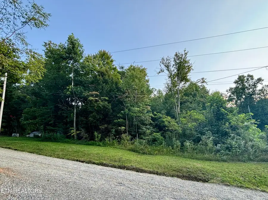 Wintergreen Lane, Cosby, TN 37722 - #2