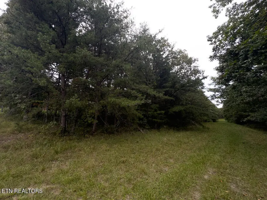 217 Westchester Drive, Crossville, TN 38558 - #3