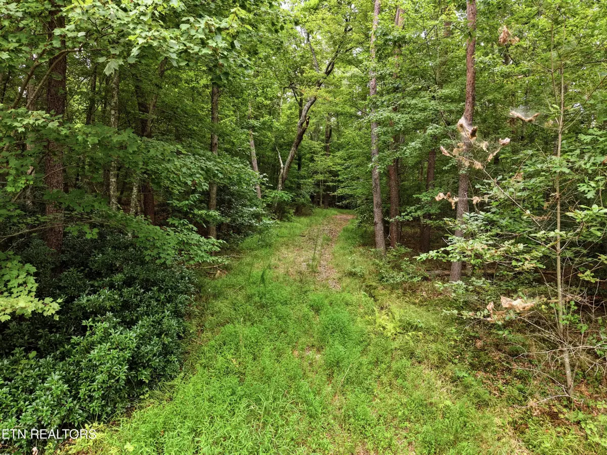 574 River Rd, Crossville, TN 38572 - #1