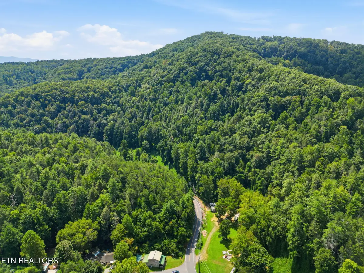 3910 Wilhite Rd, Sevierville, TN 37876 - #1