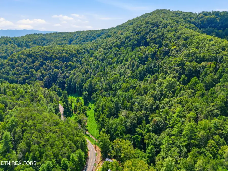 3910 Wilhite Rd, Sevierville, TN 37876 - #3