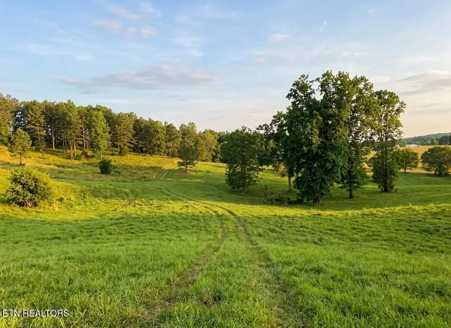 420 Wood Duck Lane, Loudon, TN 37774 - #2