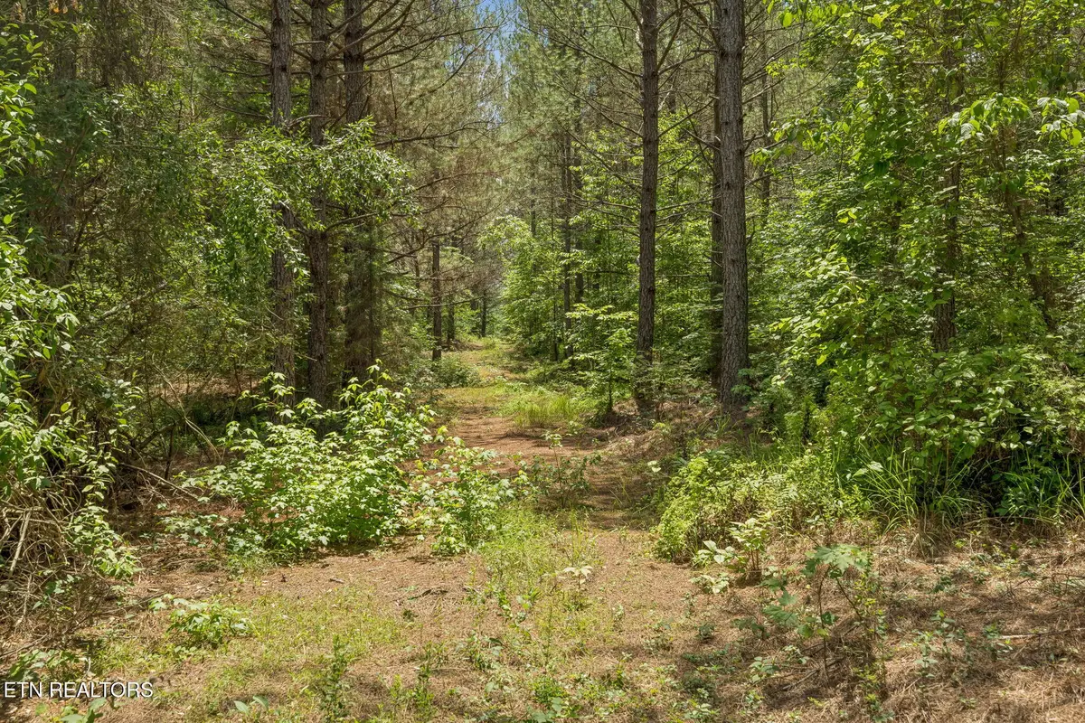 Nydeck Tr #Tract 3, Robbins, TN 37852 - #1