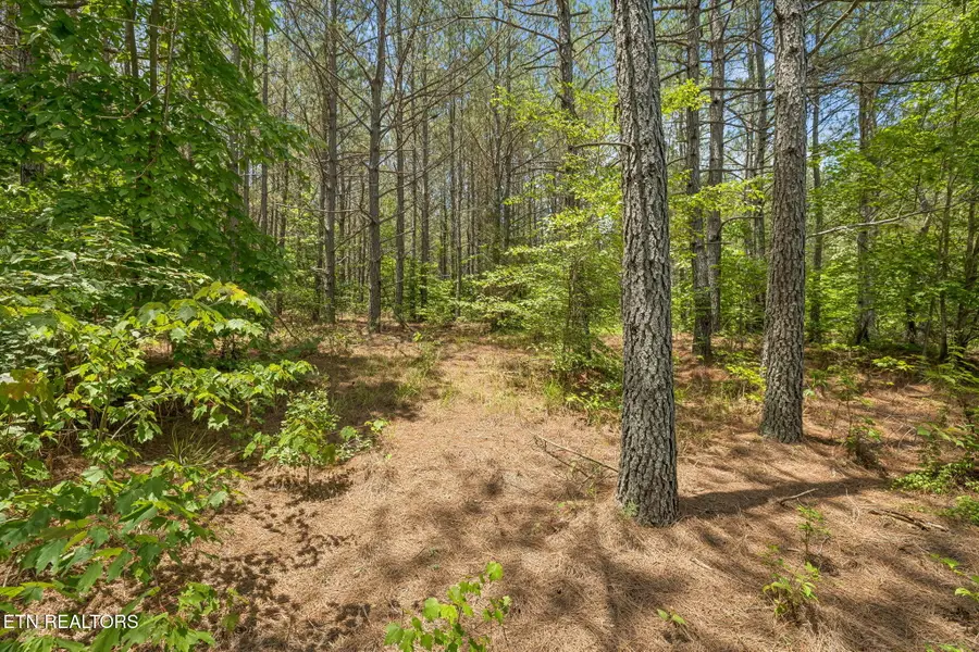Nydeck Tr #Tract 3, Robbins, TN 37852 - #3