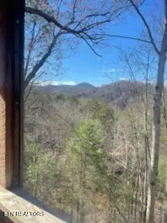 419 Sassafras Tr, Pigeon Forge, TN 37876 - #3