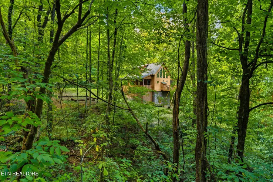 3163 Sourwood Way, Sevierville, TN 37862 - #2