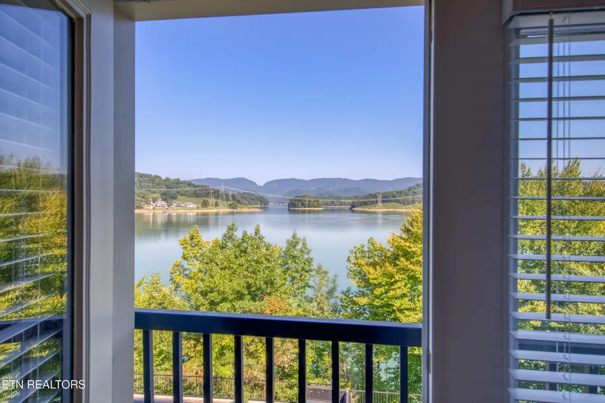 221 Sandpiper Lane, Bean Station, TN 37708 - #1