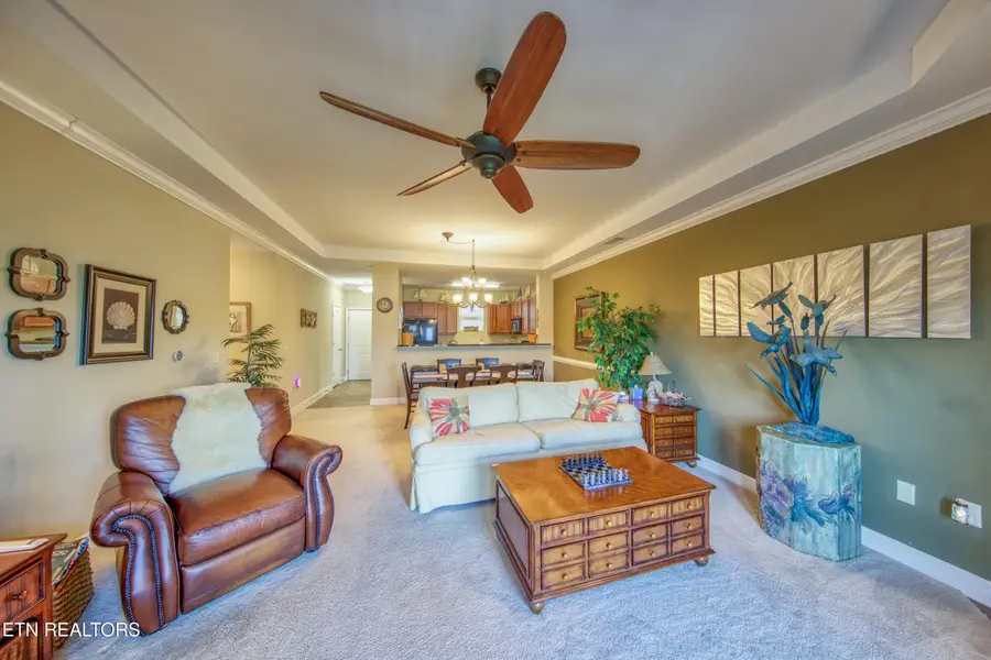 221 Sandpiper Lane, Bean Station, TN 37708 - #3