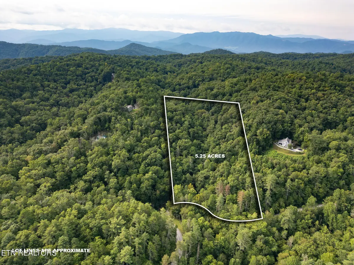Chilhowee Loop, Walland, TN 37886 - #1