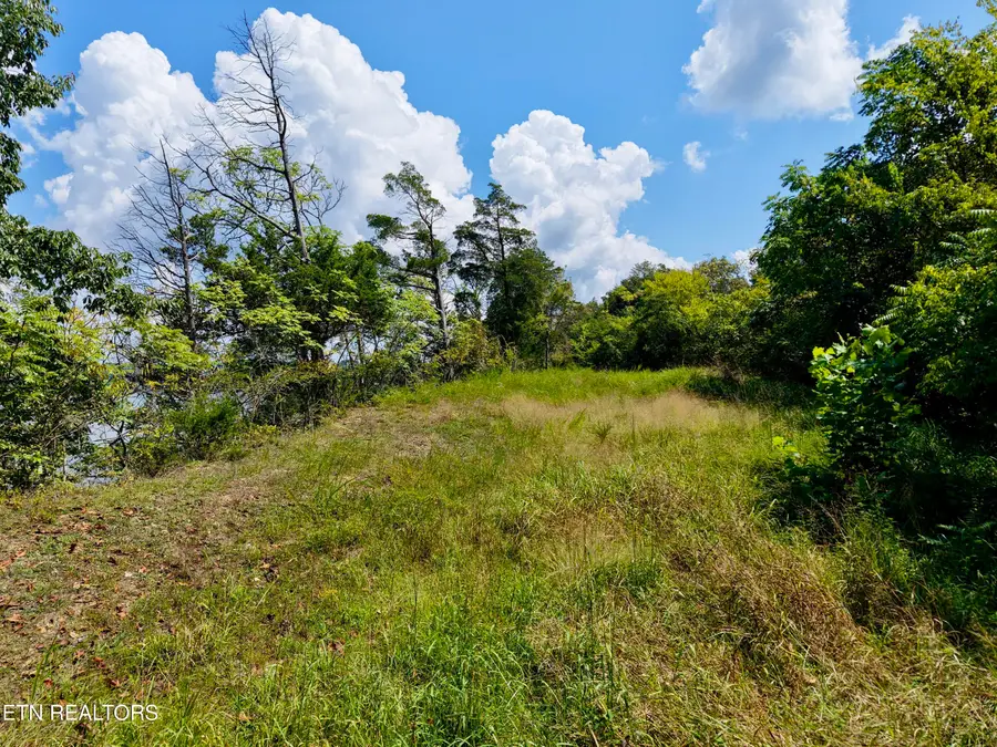 TBD Emerald Springs Way, Newport, TN 37821 - #2