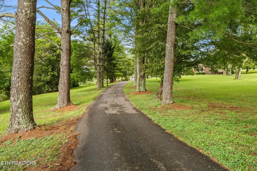 128 Chinquapin Lane, Madisonville, TN 37354 - #3