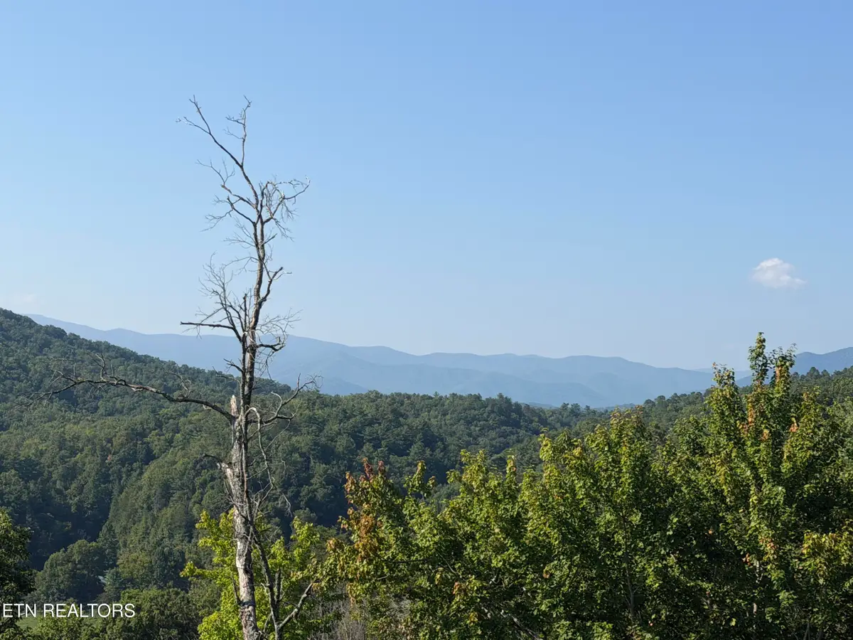 4228 Wears Valley Rd, Sevierville, TN 37862 - #1