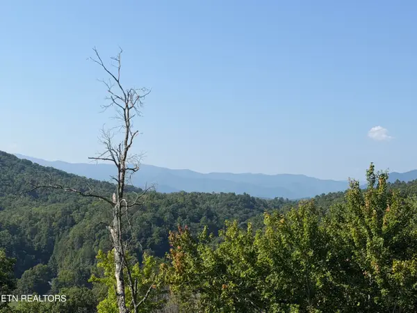 4228 Wears Valley Rd, Sevierville, TN 37862