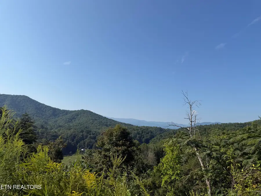 4228 Wears Valley Rd, Sevierville, TN 37862 - #2