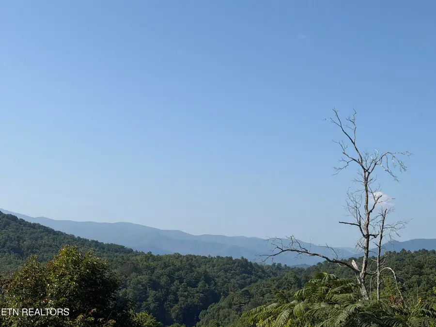 4228 Wears Valley Rd, Sevierville, TN 37862 - #3