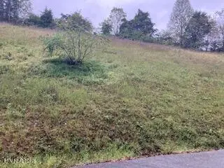 553 Garnet Tr, New Tazewell, TN 37825 - #3