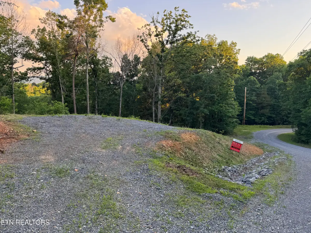 Iron Gate Drive, Baneberry, TN 37890 - #1