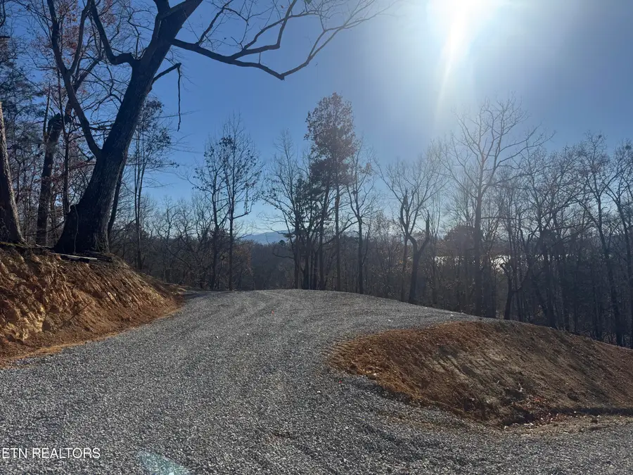 Iron Gate Drive, Baneberry, TN 37890 - #3