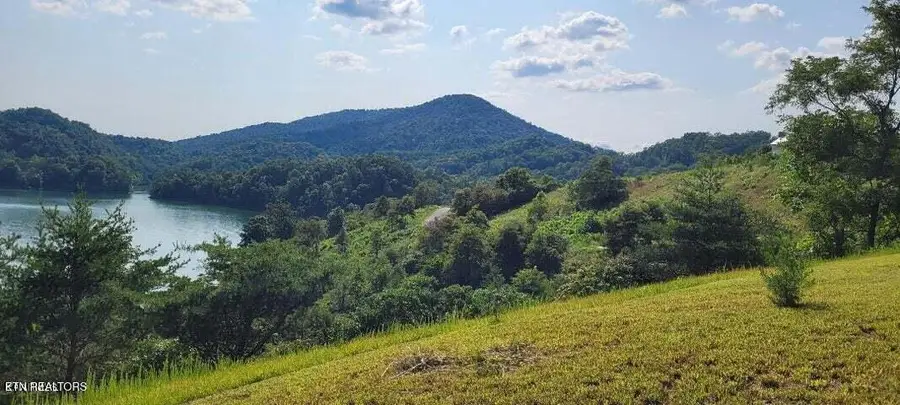Longshore Drive, Tazewell, TN 37879 - #2