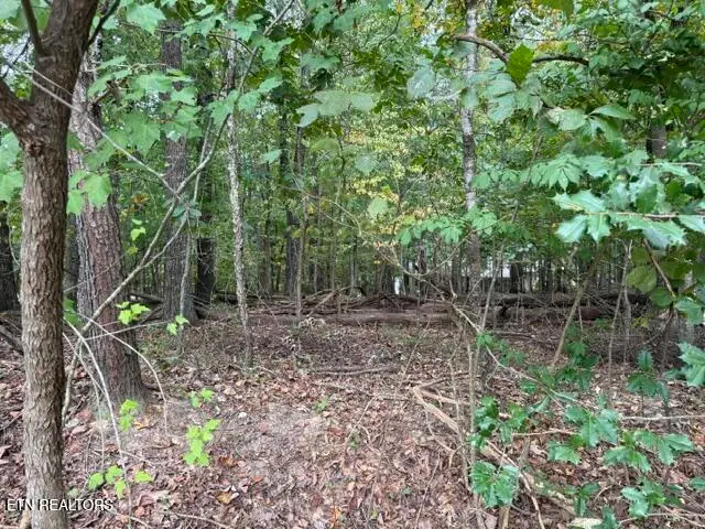 122 Ivy Lane, Fairfield Glade, TN 38558 - #3