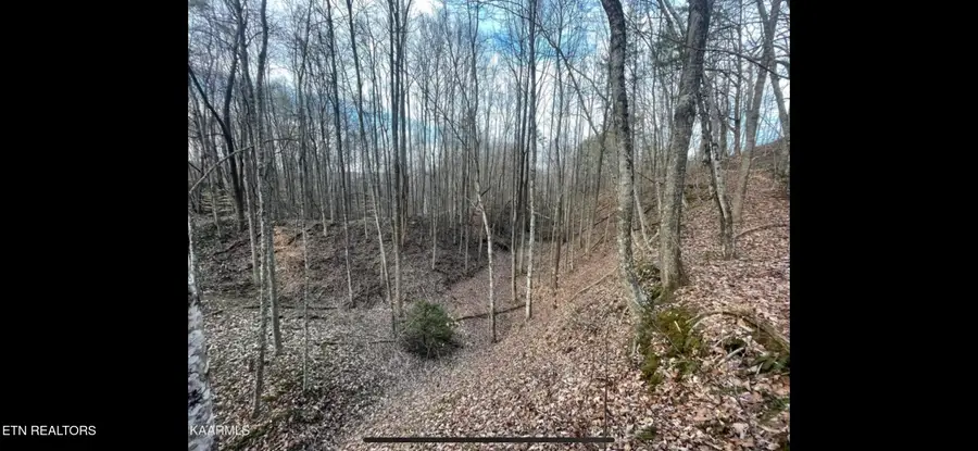 150 Timber Oaks Lane, Pioneer, TN 37847 - #2