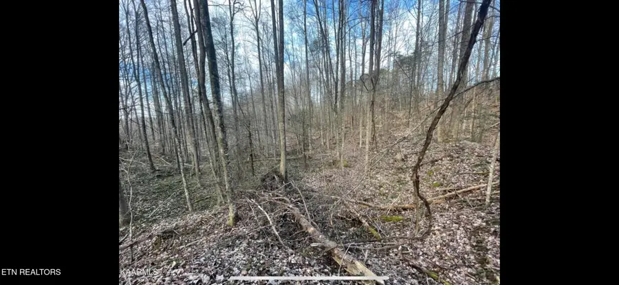 150 Timber Oaks Lane, Pioneer, TN 37847 - #3