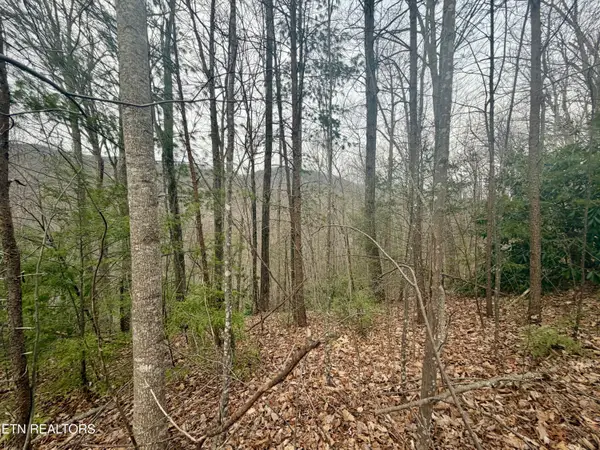 Thissa Way, Gatlinburg, TN 37738