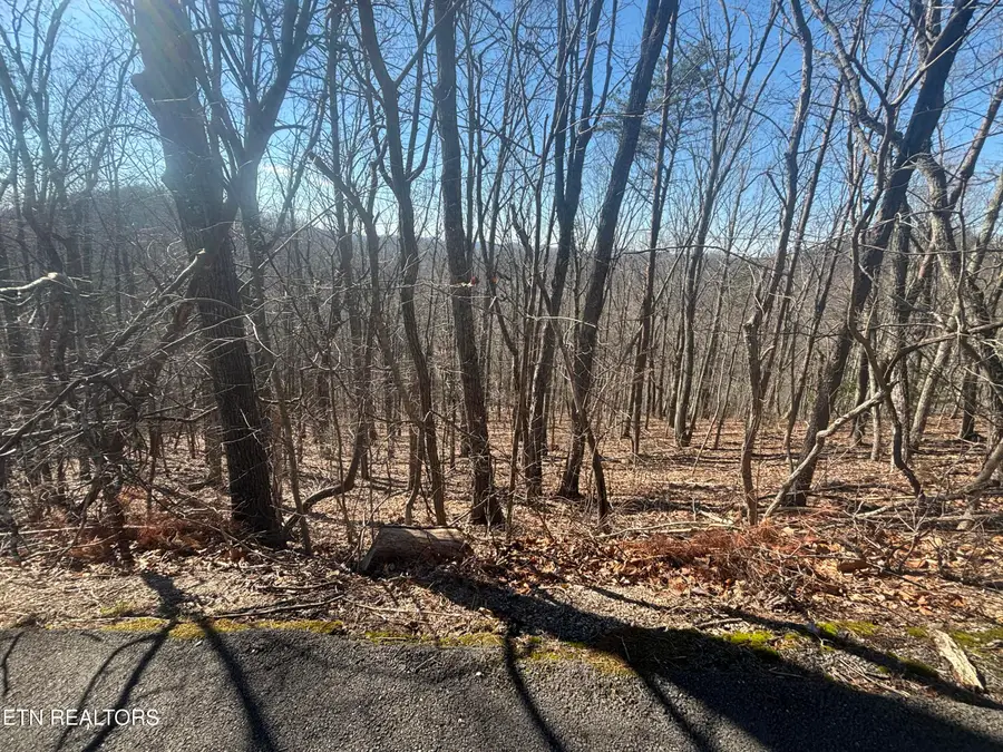 207 Laurel Mountain Rd, Madisonville, TN 37354 - #3