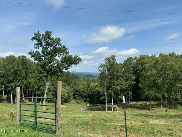 Locust Grove Rd, New Tazewell, TN 37825