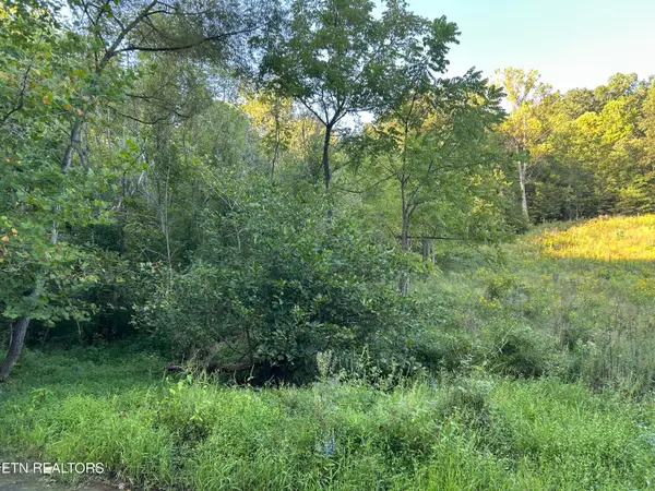 1261 Cave Springs Rd, Rogersville, TN 37857